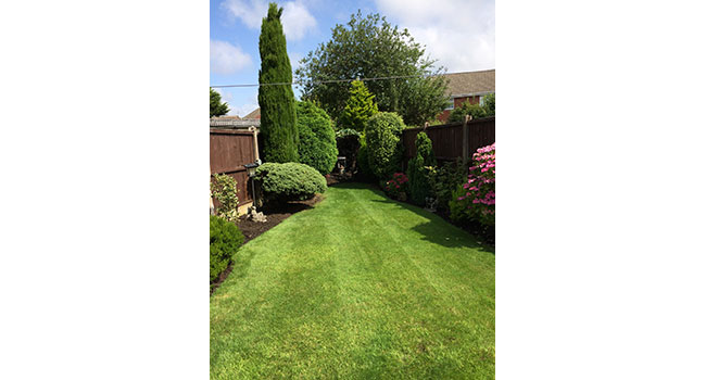 Albert Dock - Disinfecting Fogging Service